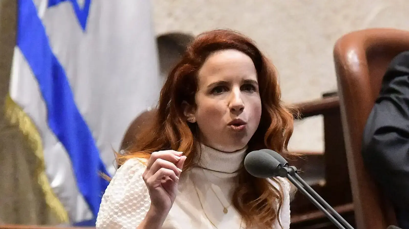  סתיו שפיר, מליאת הכנסת, 28 בינואר 2020