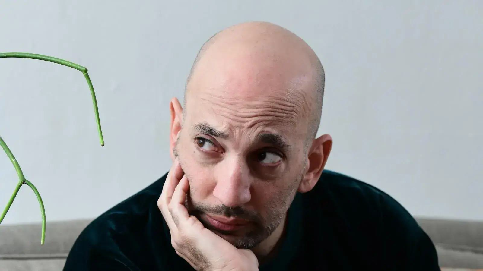 אבי דנגור