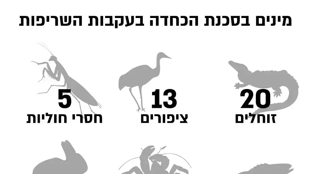 מינים בסכנת הכחדה בעקבות השריפות מינים בסכנת הכחדה בעקבות השריפות