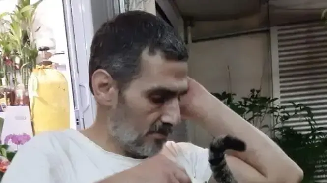 שאדי בנא שאדי בנא