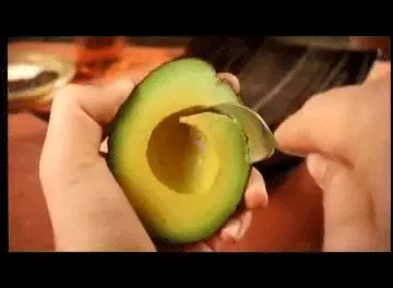 גיף אבוקדו גיף אבוקדו