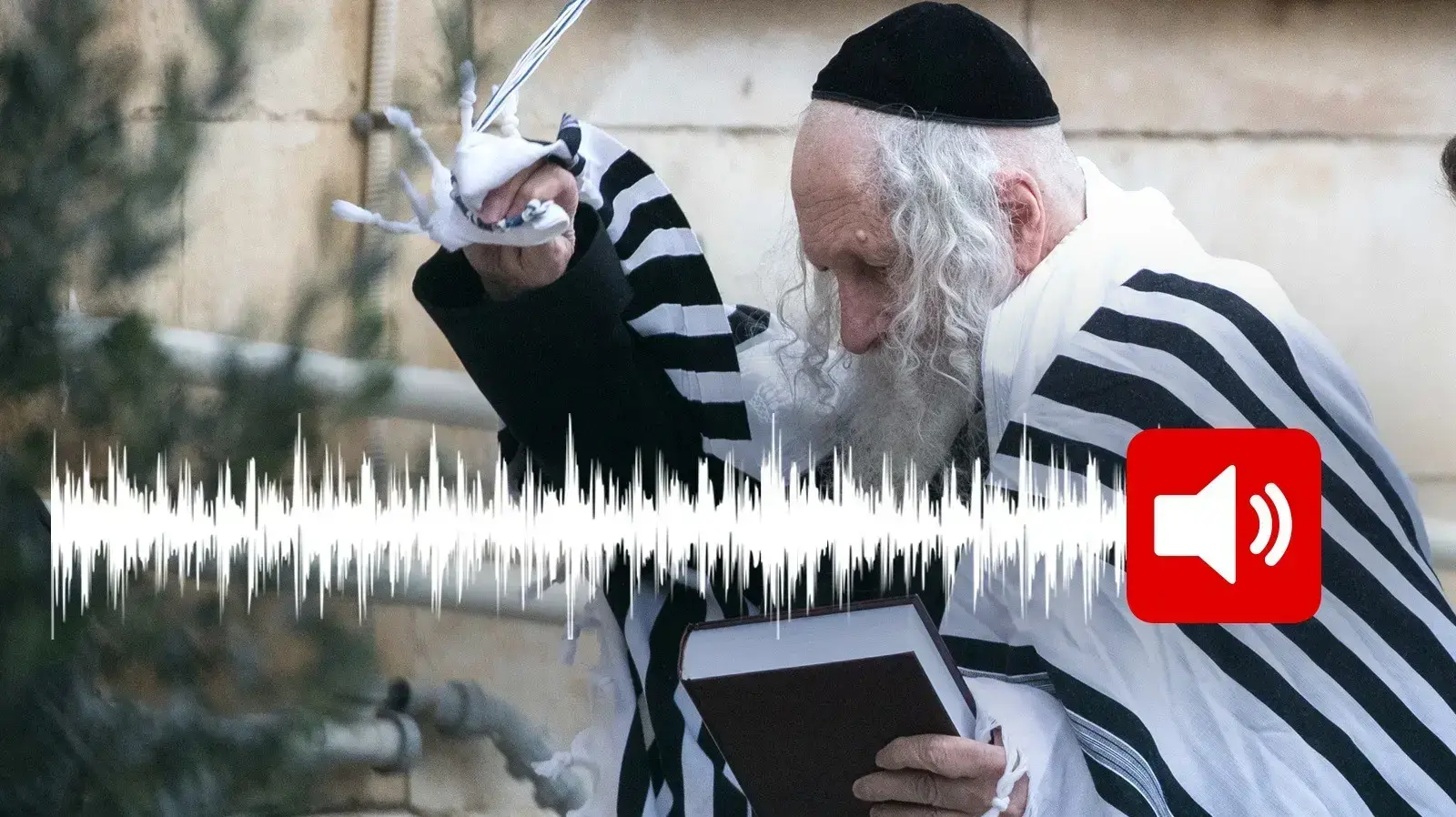 הרב אליעזר ברלנד