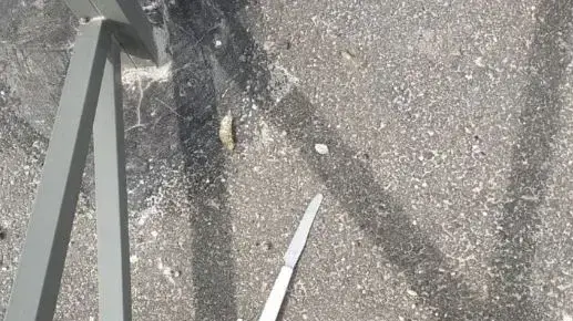 ניסיון פיגוע דקירה בארמון הנציב בירושלים ניסיון פיגוע דקירה בארמון הנציב בירושלים