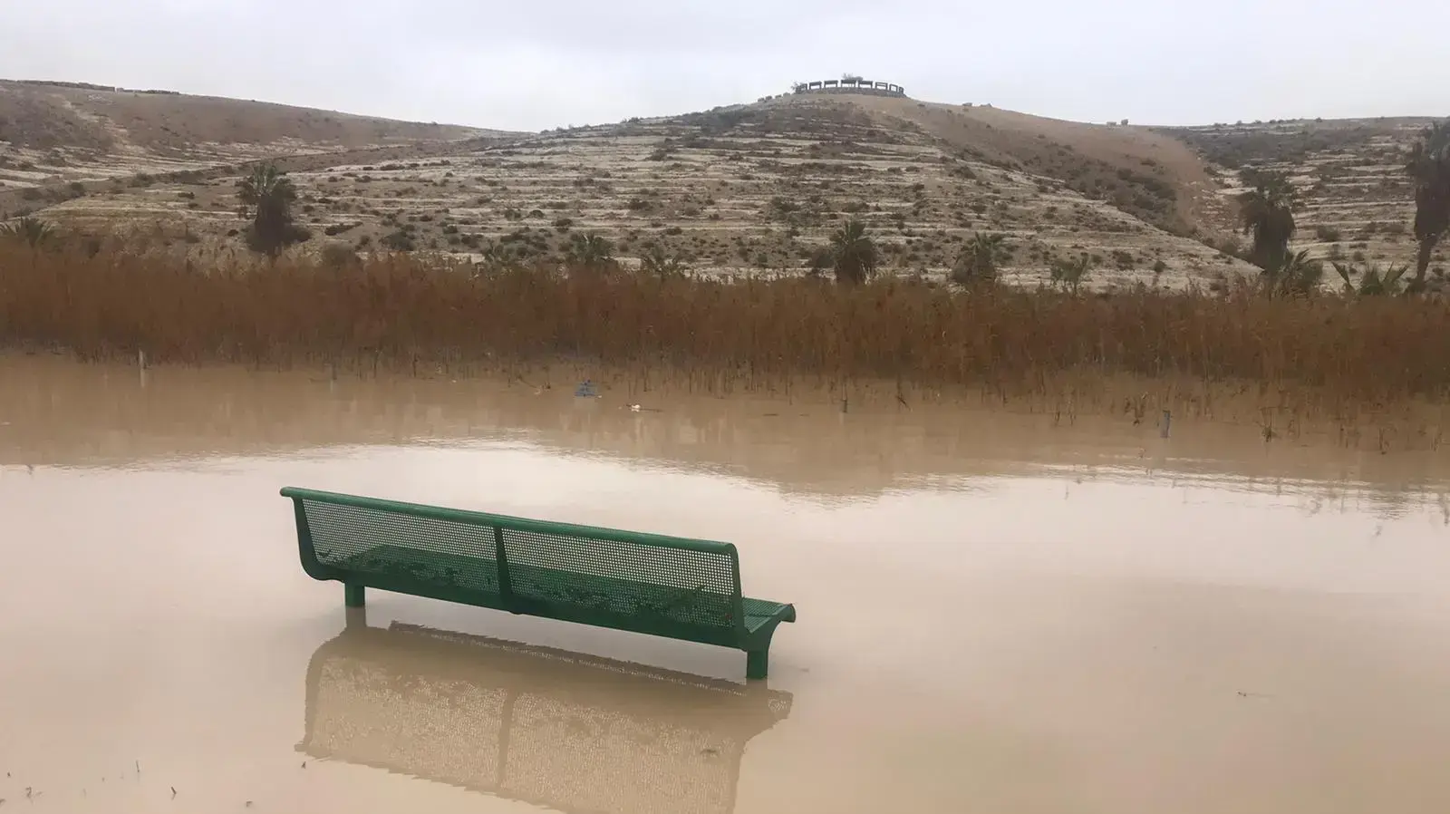 נחל רביבים פארק גולדה נחל רביבים פארק גולדה
