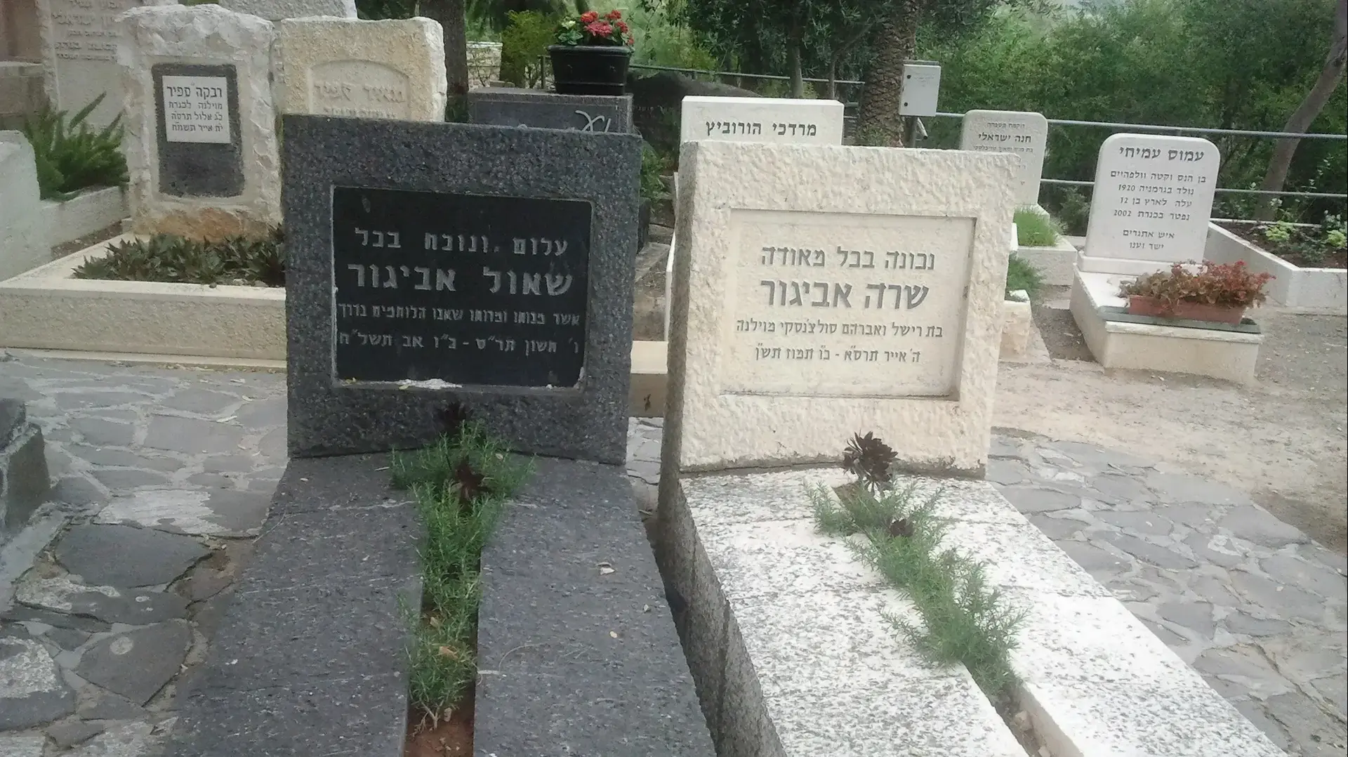 קברם של שאול אביגור ואשתו שרה הוריהם של גור מאירוב הקבור גם הוא בבית הקברות קברם של שאול אביגור ואשתו שרה הוריהם של גור מאירוב הקבור גם הוא בבית הקברות