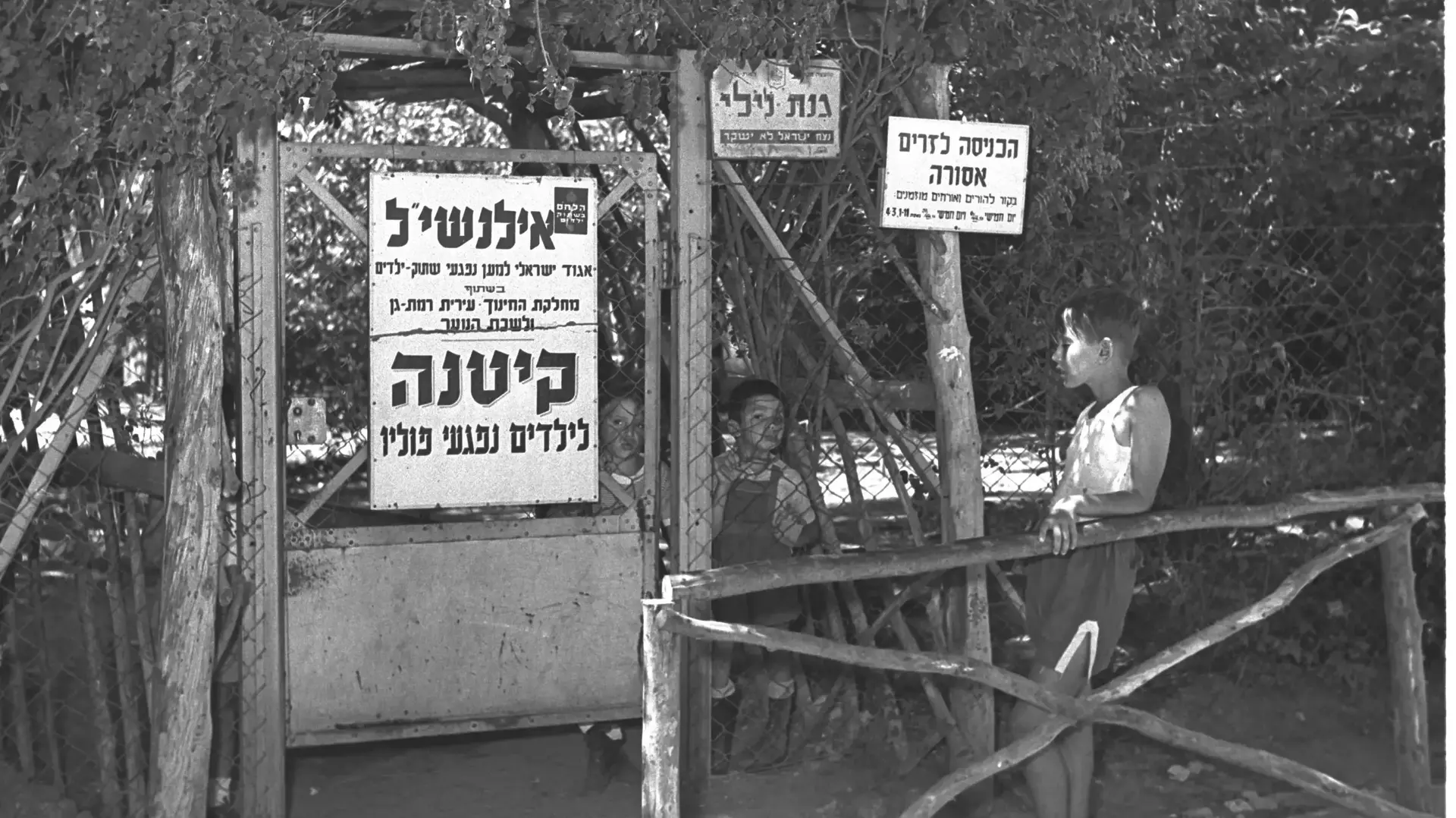 קייטנה לילדים נפגעי פוליו ברמת גן, 1 באוגוסט 1954 קייטנה לילדים נפגעי פוליו ברמת גן, 1 באוגוסט 1954