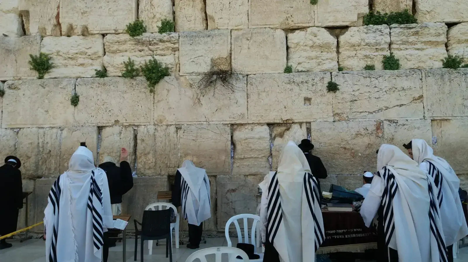 מתפללים בכותל מתפללים בכותל