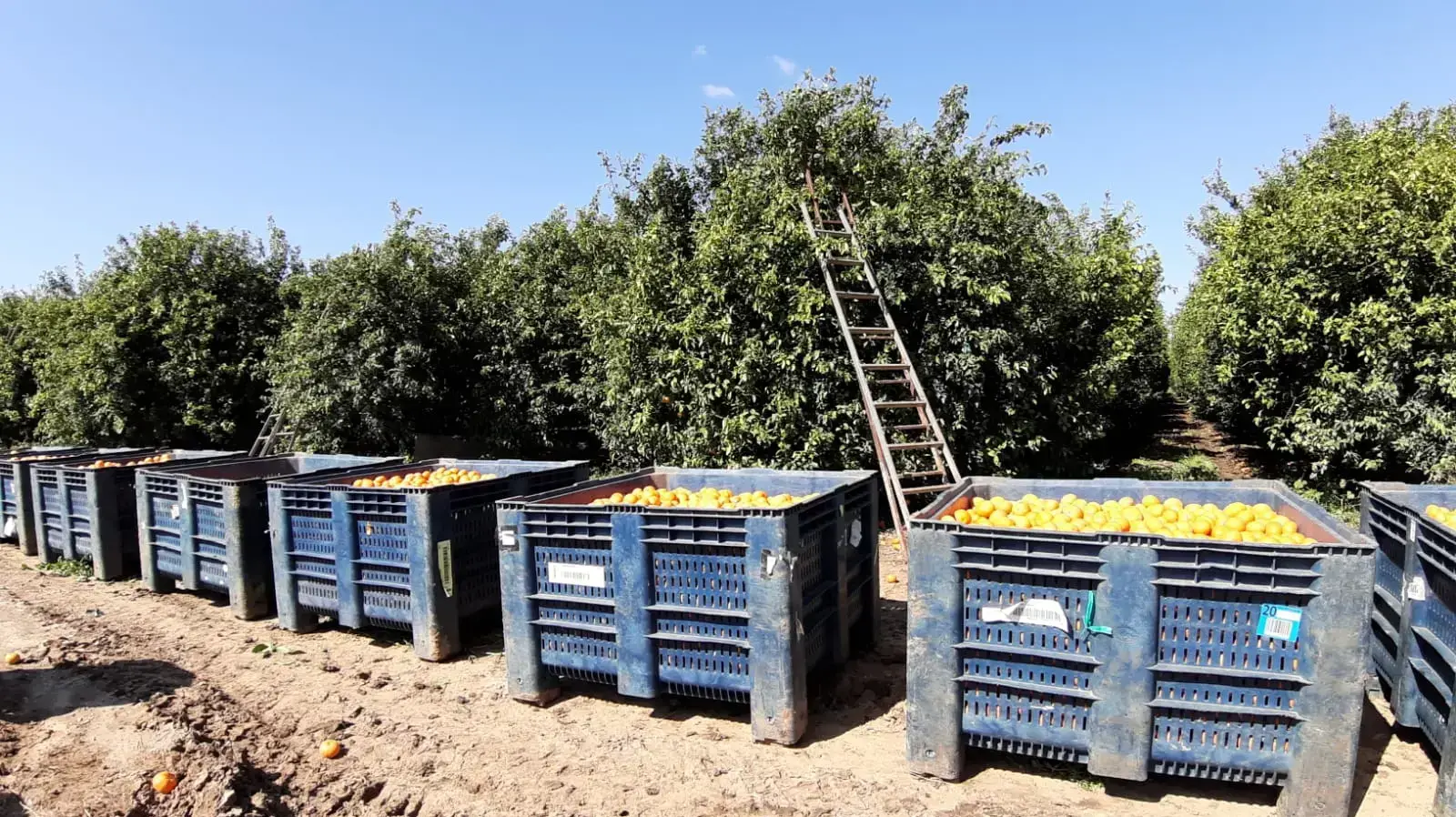 קיבוץ מפלסים 22 במרץ 2020 קיבוץ מפלסים 22 במרץ 2020