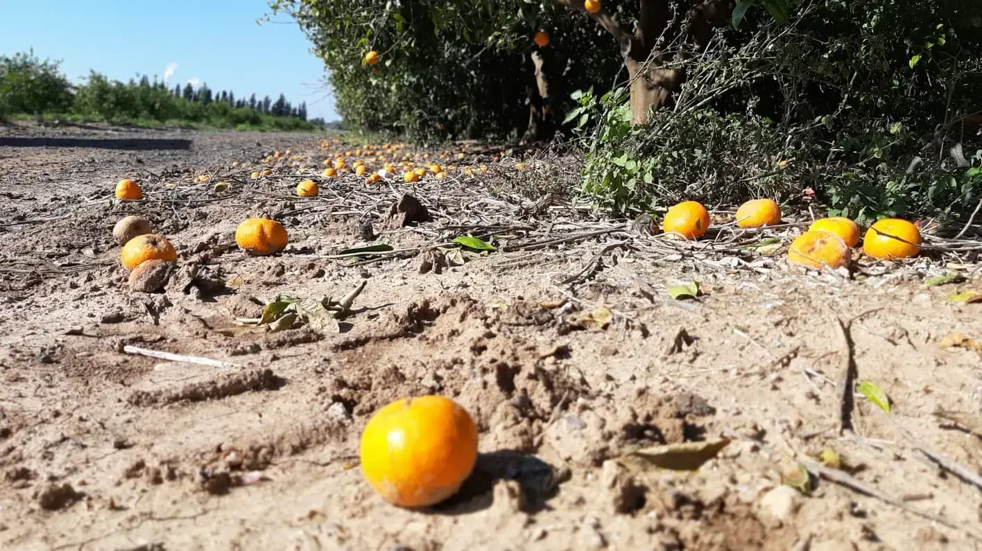 קיבוץ יד מרדכי 22 במרץ 2020 קיבוץ יד מרדכי 22 במרץ 2020