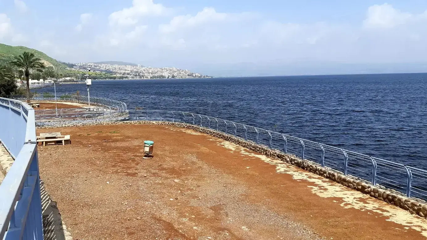 חוף שקמים בגדה המערבית של הכנרת ריק מאדם בשל הנחיות משרד הבריאות למאבק בנגיף הקורונה. 28 במרץ 2020. חוף שקמים בגדה המערבית של הכנרת ריק מאדם בשל הנחיות משרד הבריאות למאבק בנגיף הקורונה. 28 במרץ 2020.