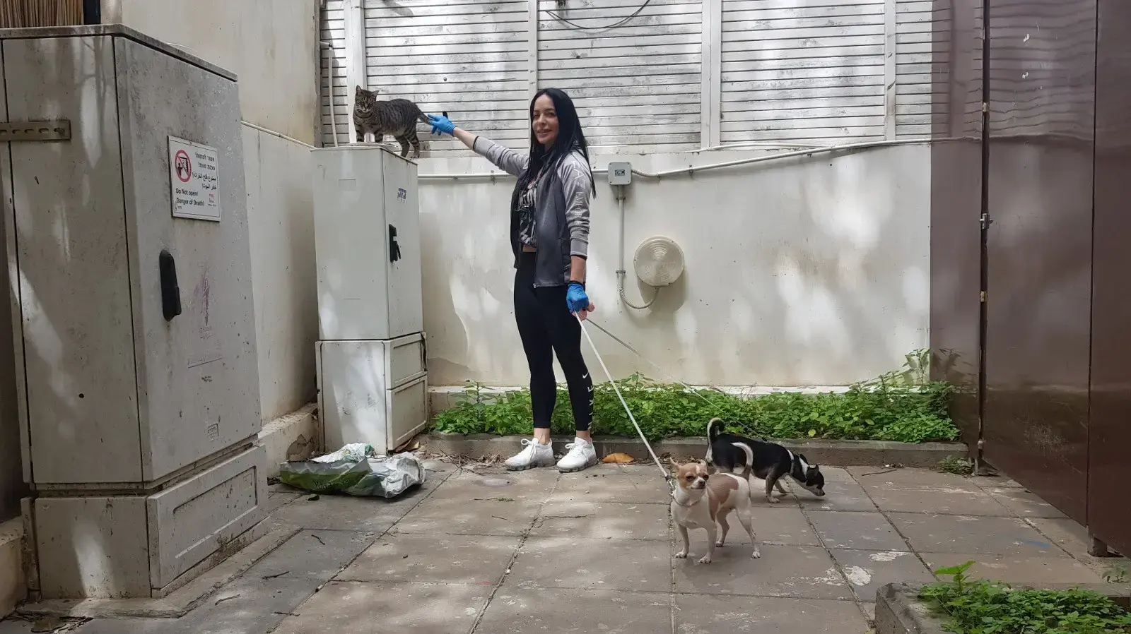 מיכל אמדורסקי והחתולים שבבעלותה במסגרת מאבק כנגד נטישת חתולים מיכל אמדורסקי והחתולים שבבעלותה במסגרת מאבק כנגד נטישת חתולים