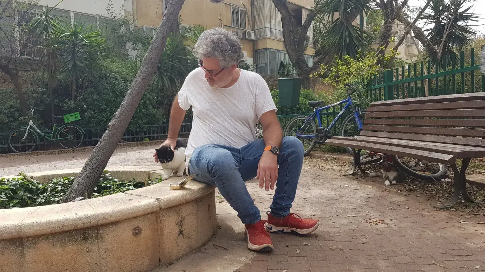 אייל שני והחתולים שבבעלתו במסגרת מאבק כנגד נטישת חתולים אייל שני והחתולים שבבעלתו במסגרת מאבק כנגד נטישת חתולים