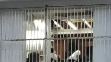 תפילה בביתו של הרב חיים קנייבסקי בבני ברק 31 במרץ 2020