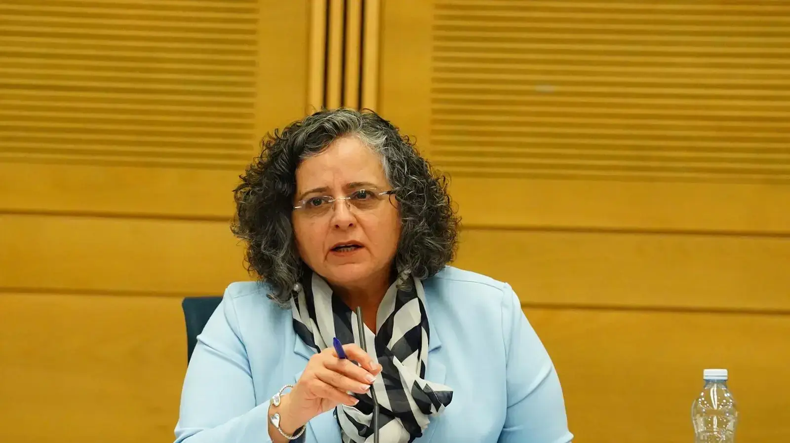 הוועדה המיוחדת לענייני רווחה ועבודה בראשות עאידה תומא סלימאן, 16 באפריל 2020 הוועדה המיוחדת לענייני רווחה ועבודה בראשות עאידה תומא סלימאן, 16 באפריל 2020