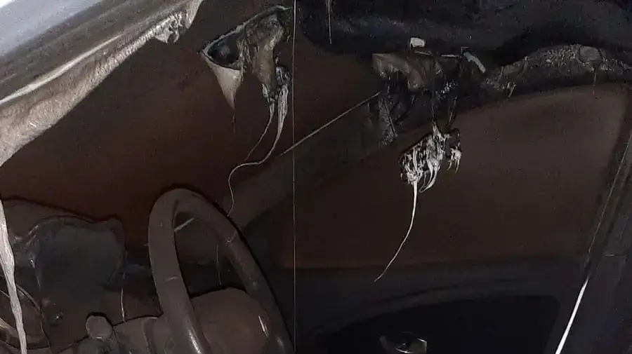 הצתות בנשר הצתות בנשר