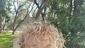 אריאלה קליין אריאלה קליין