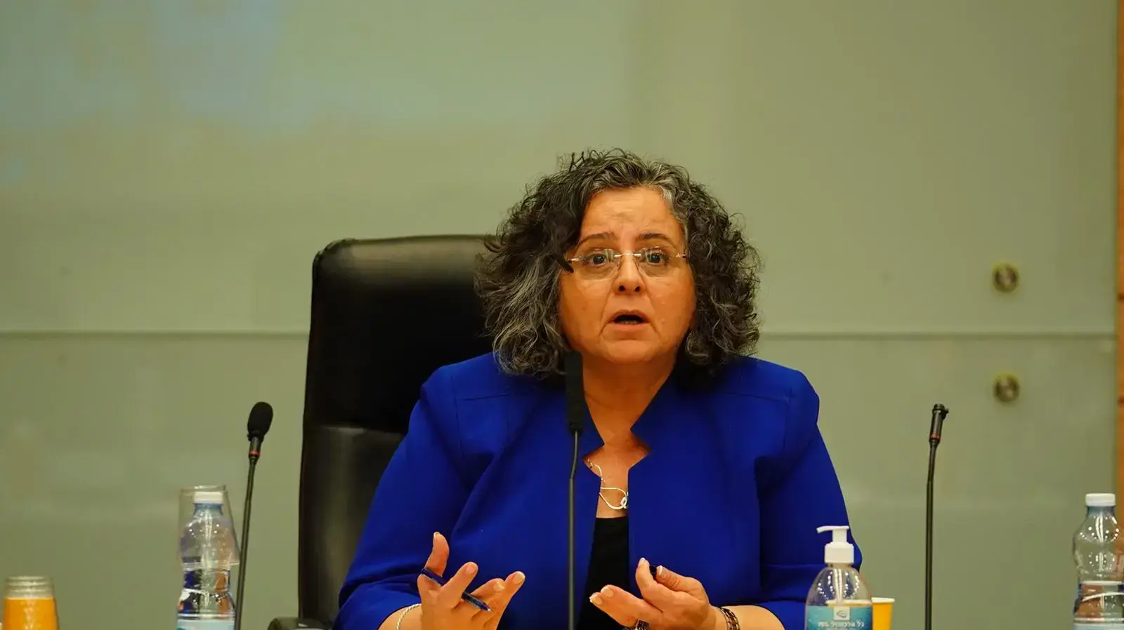 חברת הכנסת עאידה תומא סלימאן חברת הכנסת עאידה תומא סלימאן