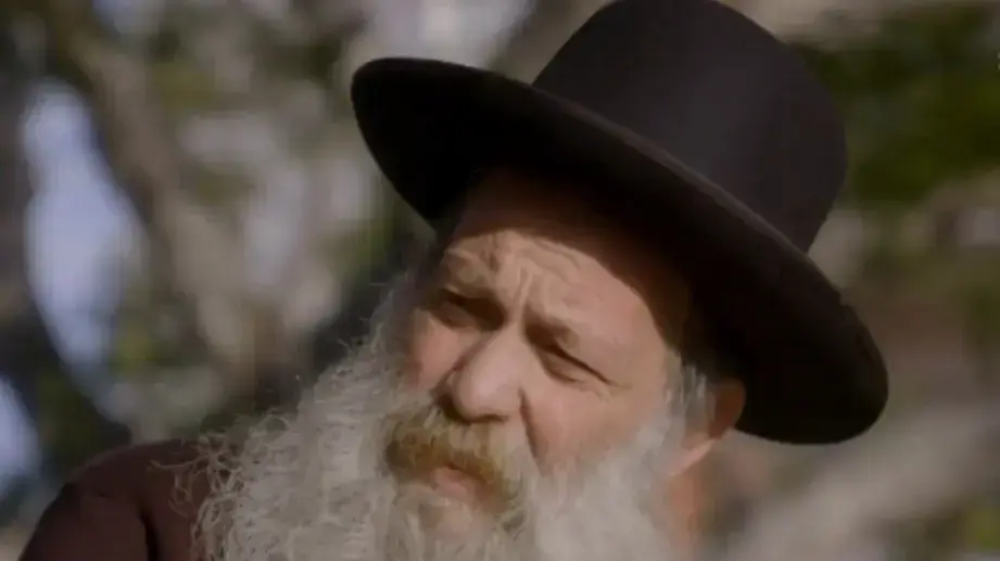 שולי רנד המקור שולי רנד המקור