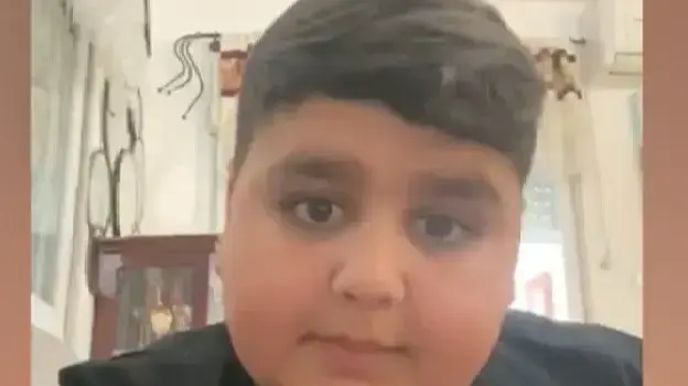 דקל וקנין דקל וקנין