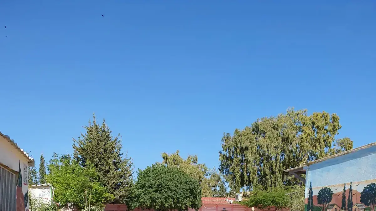בית הספר היסודי תל- ערד 