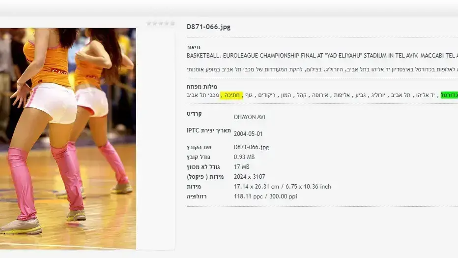 תמונות המופיעות באוסף התצלומים הלאומי של לע"מ תחת הקטגוריה "חתיכה" תמונות המופיעות באוסף התצלומים הלאומי של לע"מ תחת הקטגוריה "חתיכה"
