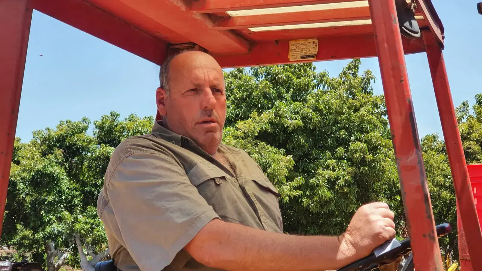 עופר מושקוביץ(פושקו),מרכז המטע אבוקדו של משגב עם.12 במאי 2020