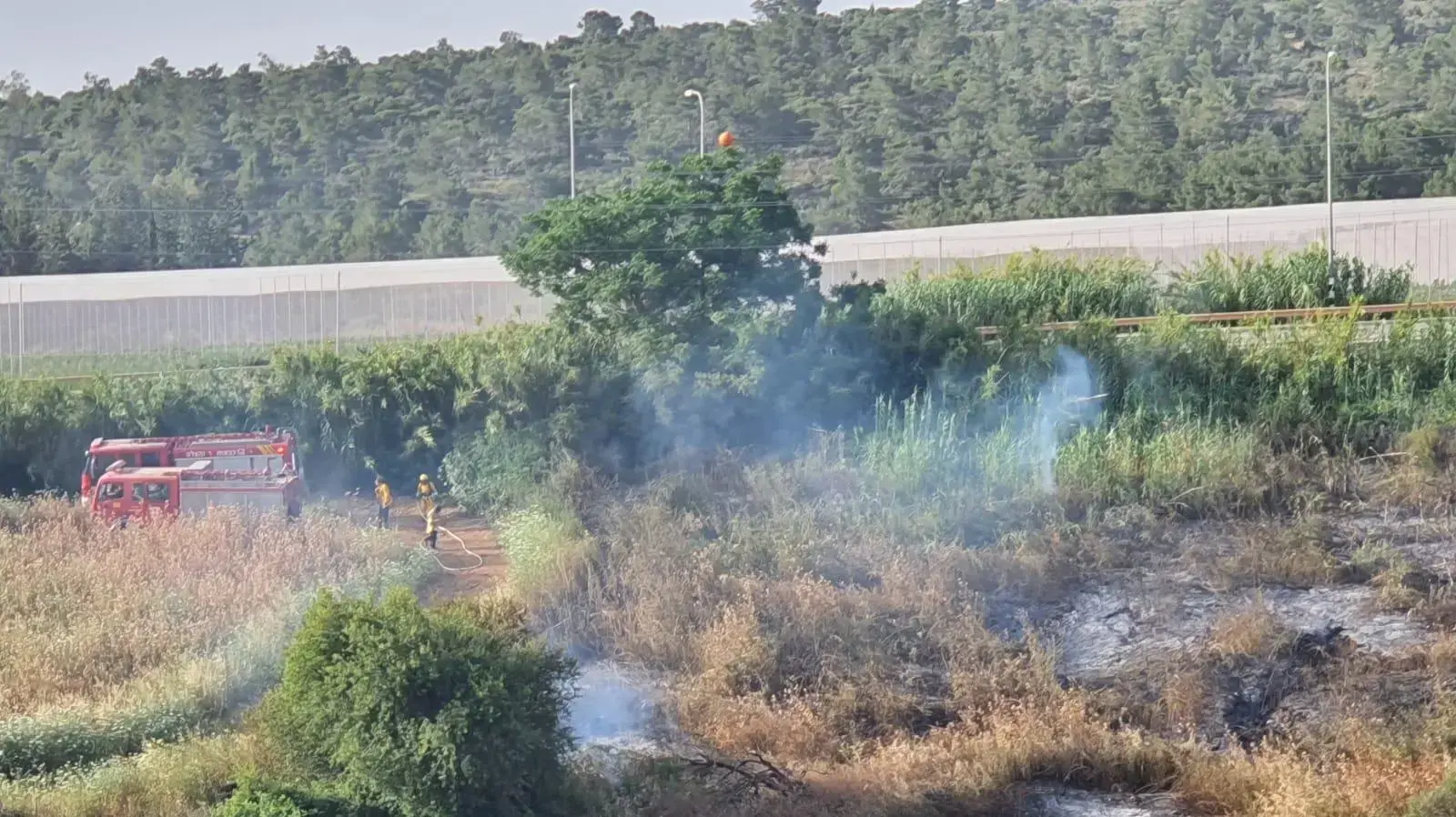 שריפת חורש סמוך לכביש 89 - ה-17 למאי 2020 שריפת חורש סמוך לכביש 89 - ה-17 למאי 2020