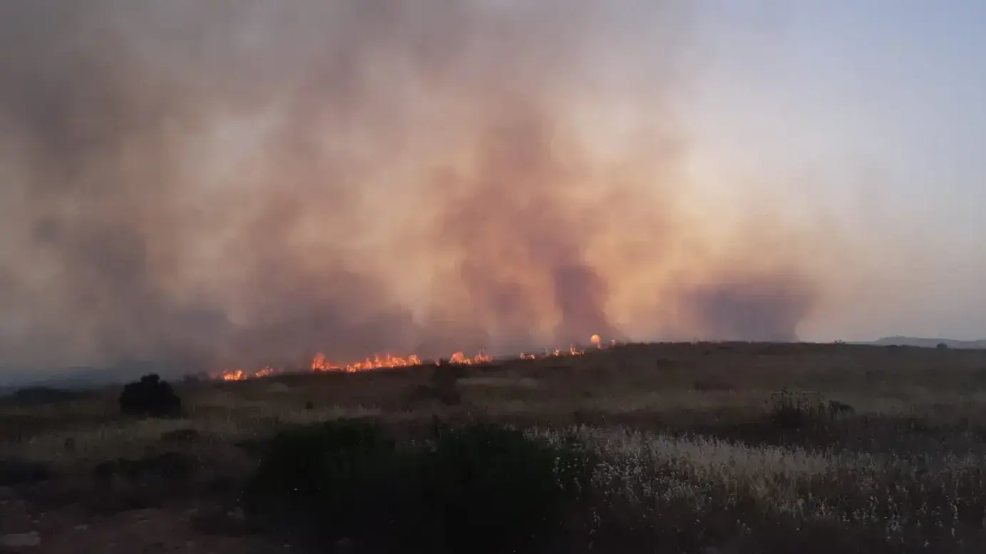 שריפה בשמורת נחל שילה 19 במאי 2020 שריפה בשמורת נחל שילה 19 במאי 2020