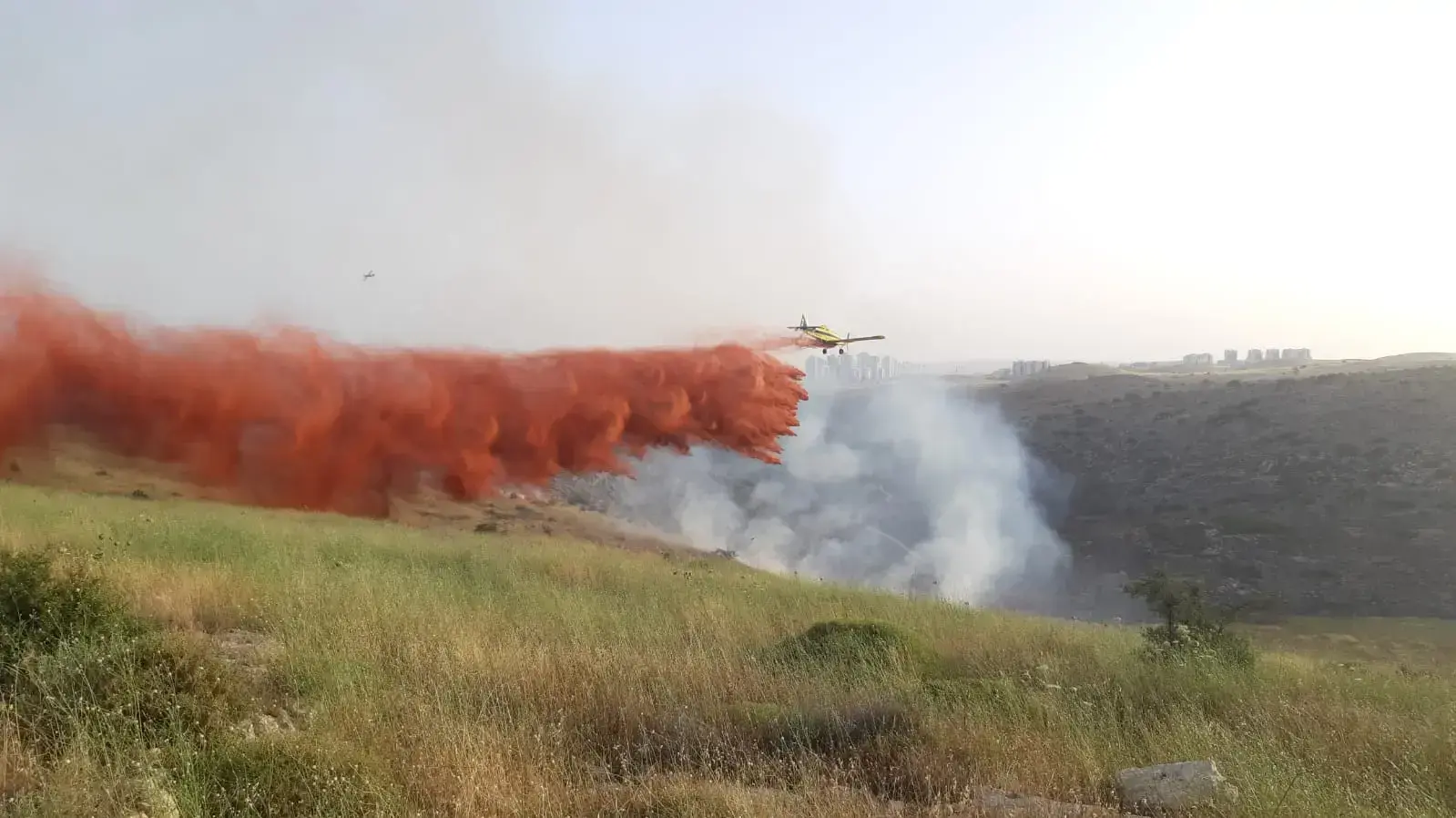 שריפה בשמורת נחל שילה 19 במאי 2020 שריפה בשמורת נחל שילה 19 במאי 2020