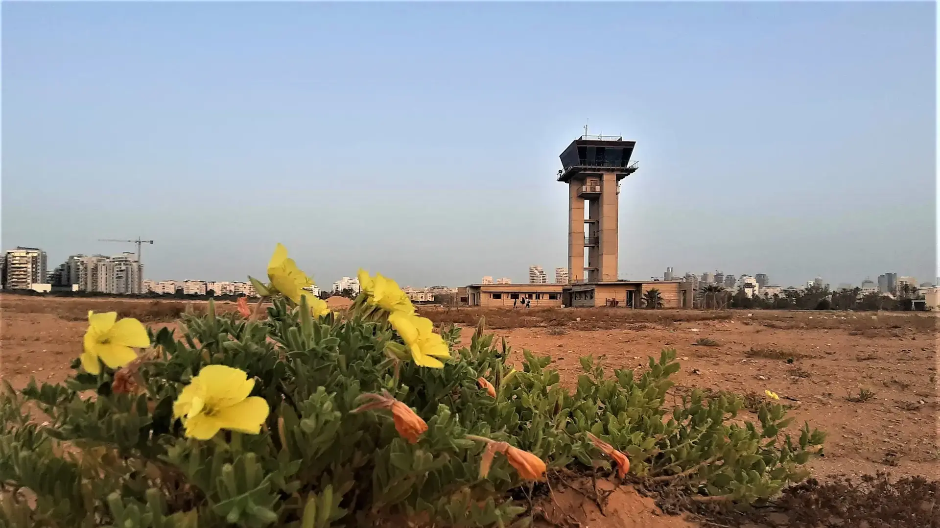 מגדל הפיקוח בשדה דב מגדל הפיקוח בשדה דב
