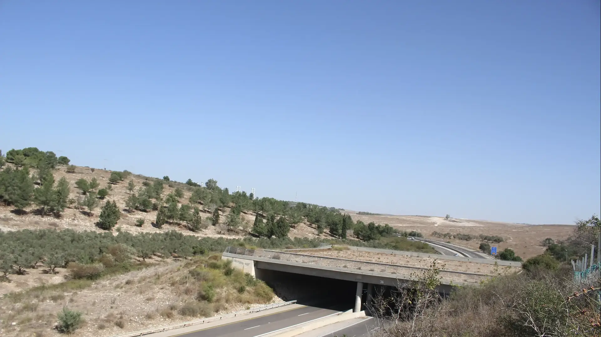 מעבר אקולוגי מעל כביש 70. 23 במאי 2020 מעבר אקולוגי מעל כביש 70. 23 במאי 2020