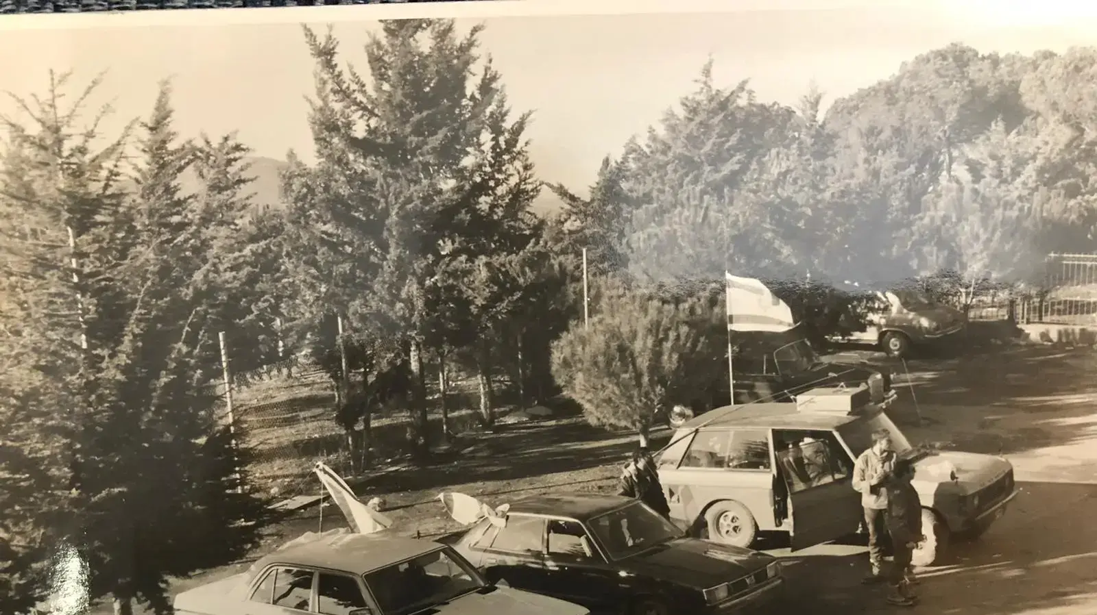מרצדסים ולנדרובר בהם השתמשו באדל, לבנון מרצדסים ולנדרובר בהם השתמשו באדל, לבנון