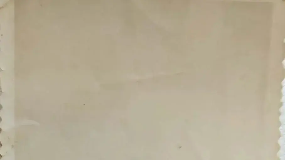 דוד רובין, לוחם הפלמ"ח דוד רובין, לוחם הפלמ"ח