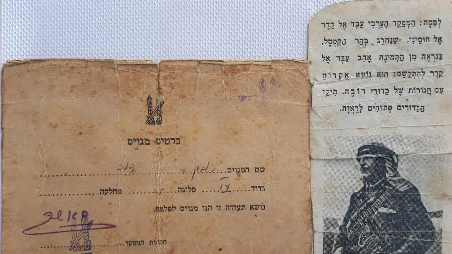 דוד רובין, לוחם הפלמ"ח דוד רובין, לוחם הפלמ"ח
