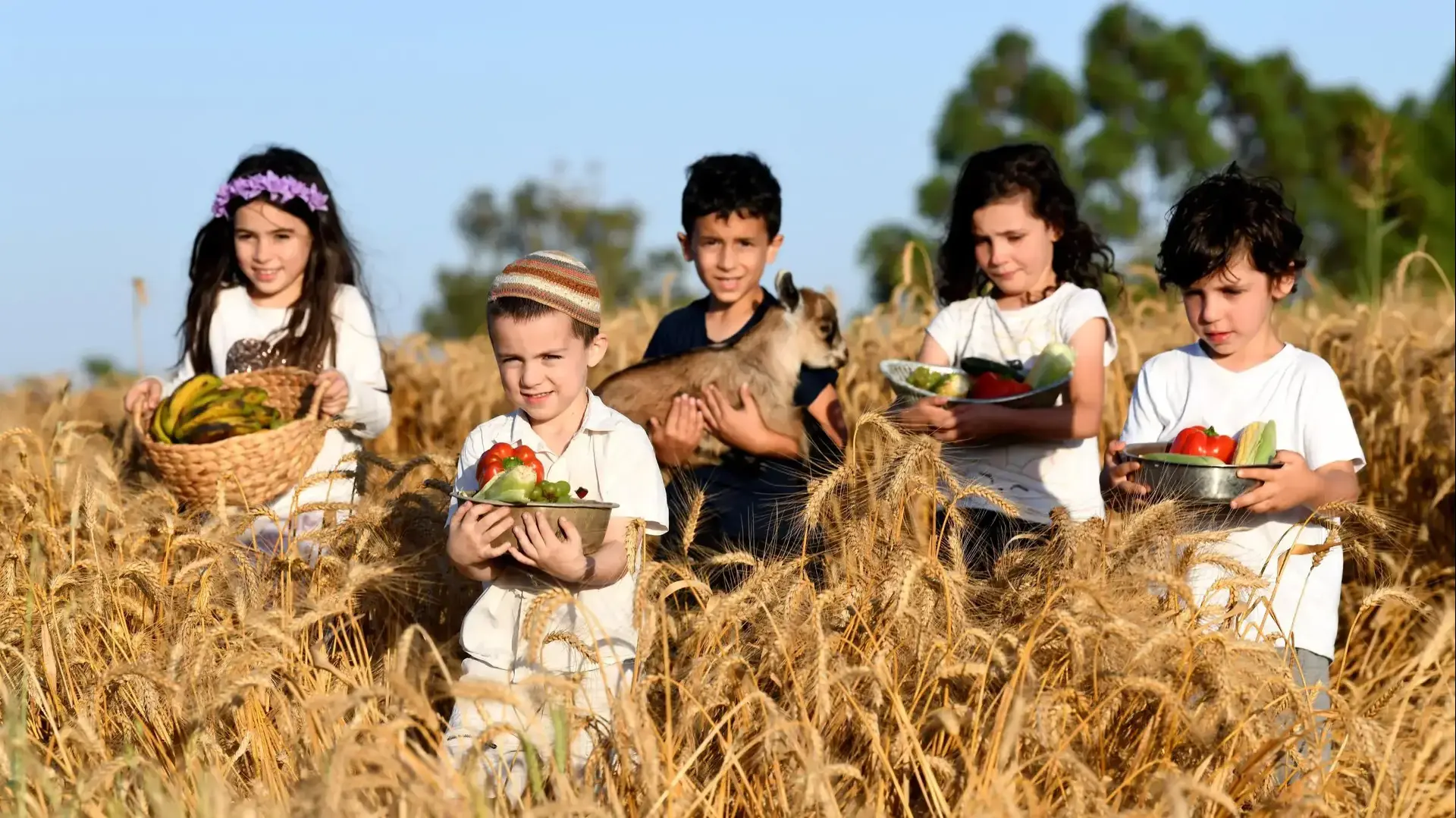 ילדי "החווה של חוה" החווה הקיבוצית בשדות חפץ חיים מתכוננים לקראת חג השבועות 27 במאי 2020 ילדי "החווה של חוה" החווה הקיבוצית בשדות חפץ חיים מתכוננים לקראת חג השבועות 27 במאי 2020