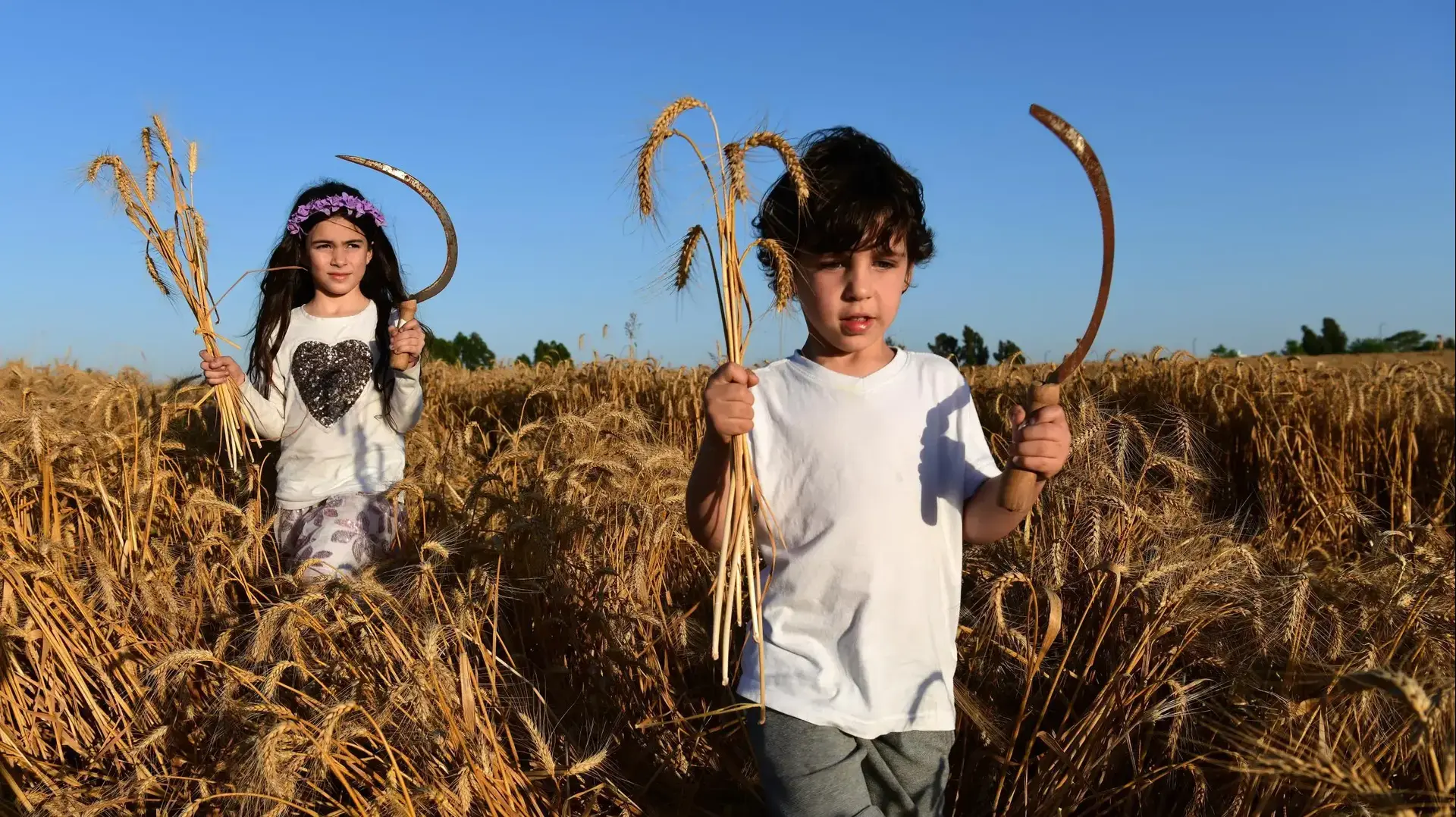ילדי "החווה של חוה" החווה הקיבוצית בשדות חפץ חיים מתכוננים לקראת חג השבועות 27 במאי 2020 ילדי "החווה של חוה" החווה הקיבוצית בשדות חפץ חיים מתכוננים לקראת חג השבועות 27 במאי 2020
