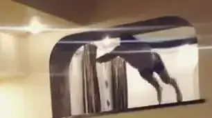 בחור קופץ לברכה דרך החלון