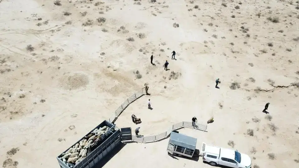 לוחמי משטרת ישראל וכוחות מיוחדים בפיקודו של מפקד מרחב נגב תנ״צ יאיר חצרוני פעלו נגד הפשיעה בביר הדאג', 10 ביוני 2020 לוחמי משטרת ישראל וכוחות מיוחדים בפיקודו של מפקד מרחב נגב תנ״צ יאיר חצרוני פעלו נגד הפשיעה בביר הדאג', 10 ביוני 2020
