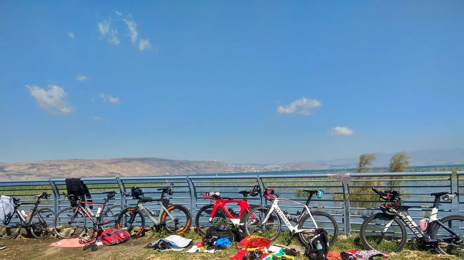 חוף רותם שיזף בכנרת