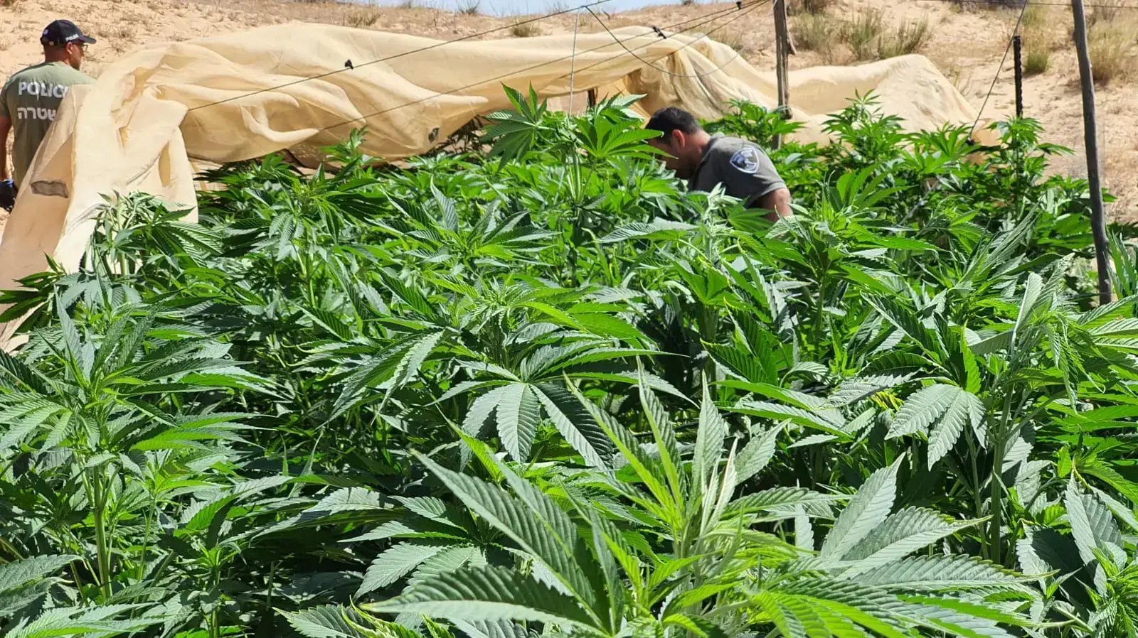 פעילות אכיפה של המשטרה נגד מחוללי פשיעה ביישוב ביר הדאג' ובאזור שטחי האש, 15 ביוני 2020