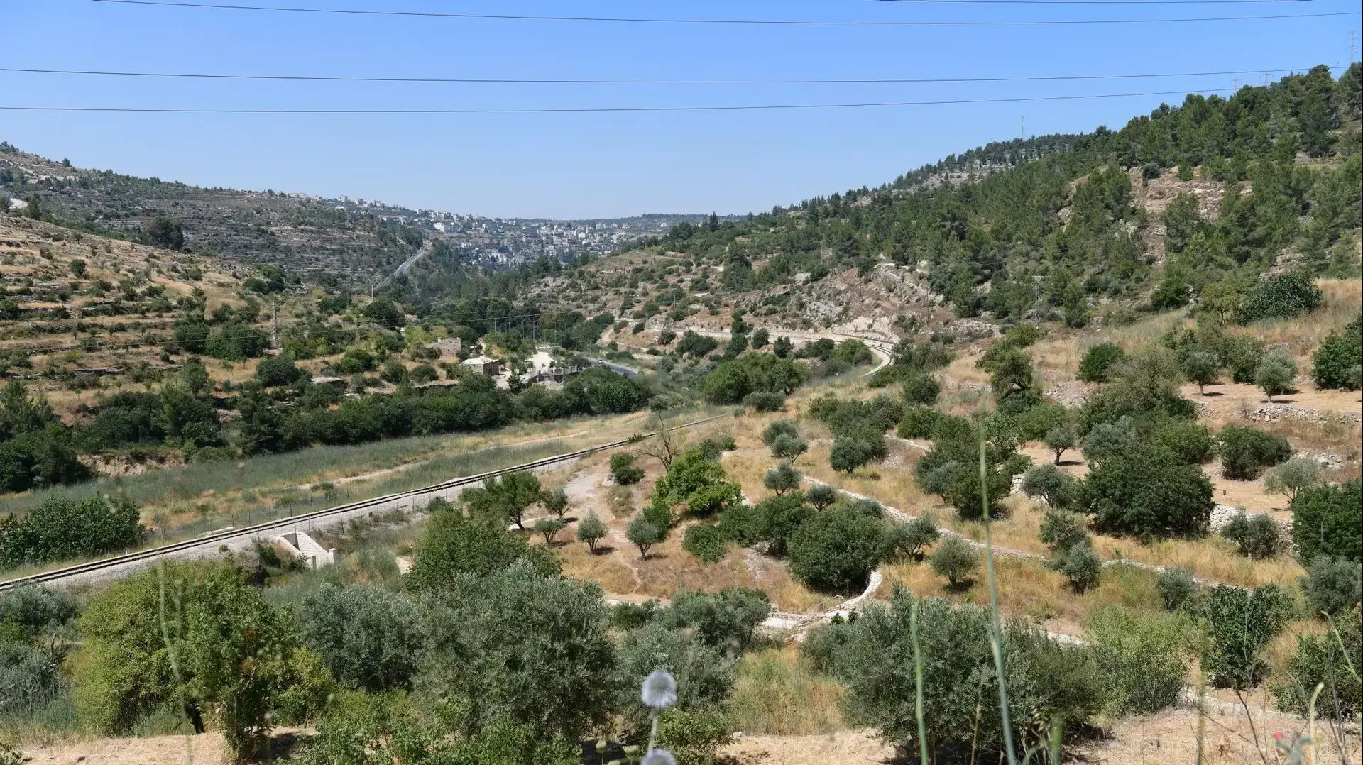 רכס לבן ועין לבן, 16 ביוני 2020 רכס לבן ועין לבן, 16 ביוני 2020