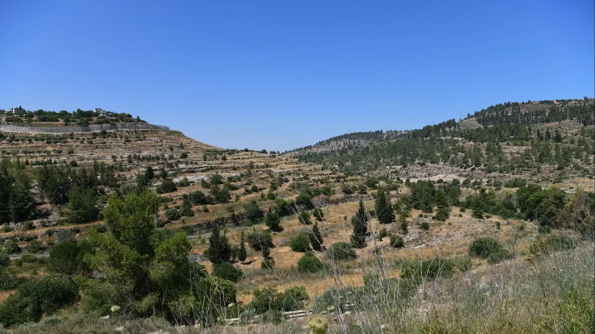 רכס לבן ועין לבן, 16 ביוני 2020 רכס לבן ועין לבן, 16 ביוני 2020