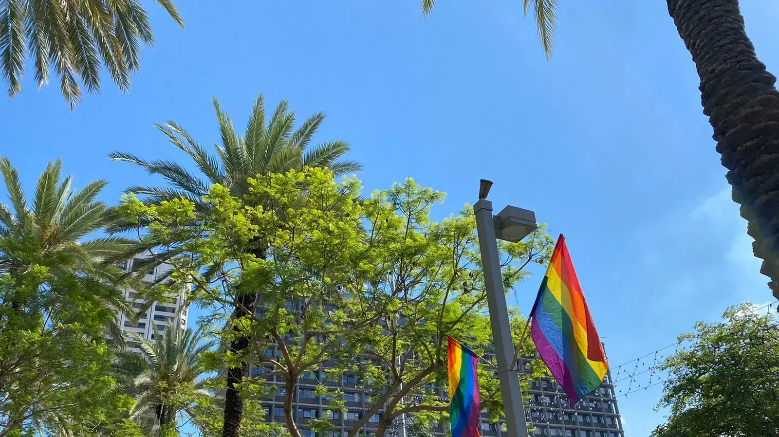 דגלי הגאווה ברחבי תל אביב דגלי הגאווה ברחבי תל אביב