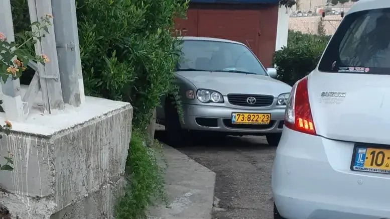 11 חזירים מתים שנמצאו בעיר נשר ונחשד כי הורעלו בעזרת חומרי הדברה. 20 ביוני 2020 11 חזירים מתים שנמצאו בעיר נשר ונחשד כי הורעלו בעזרת חומרי הדברה. 20 ביוני 2020