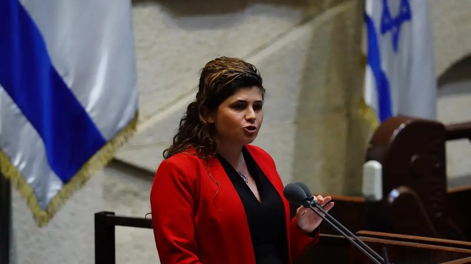 שרן השכל כנסת יוני 2020 שרן השכל כנסת יוני 2020