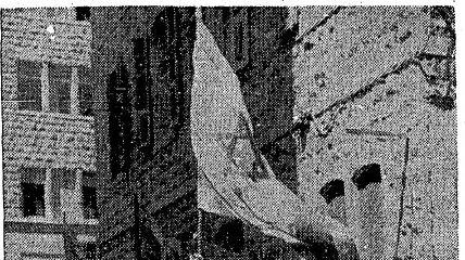 ארועי ואדי סאליב, 1959 ארועי ואדי סאליב, 1959
