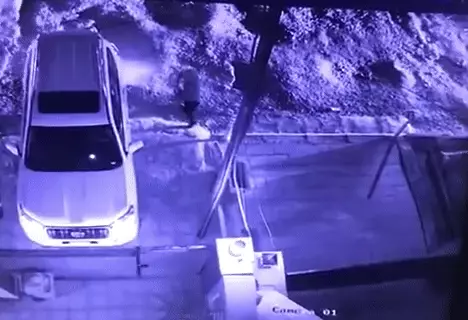 ירי על מומחה לטרור בבגדאד, עיראק, 6 ביולי 2020