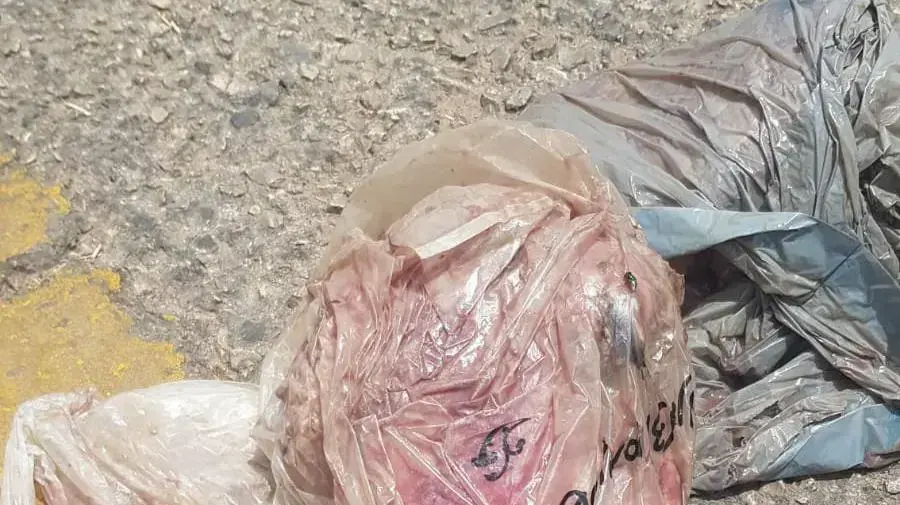השלכת ראש כבש וירי באוויר בסמוך לביתו של מנהל מכללה מאחר ונזף בסטודנטים על איחור לשיעור השלכת ראש כבש וירי באוויר בסמוך לביתו של מנהל מכללה מאחר ונזף בסטודנטים על איחור לשיעור