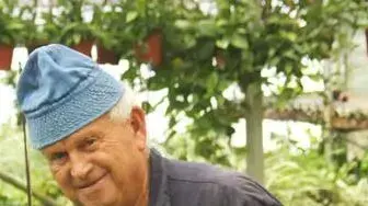 זאב כחולי במשתלה עם כובע הטמבל הנצחי