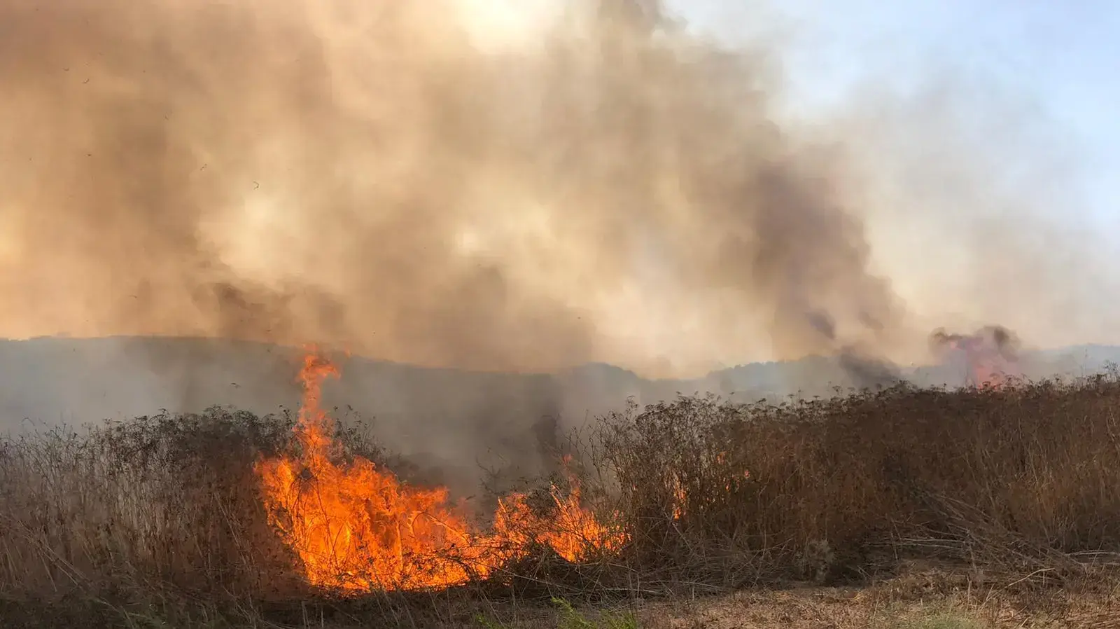 שריפה סמוך לחוף הבונים, 26 ביולי 2020. שריפה סמוך לחוף הבונים, 26 ביולי 2020.